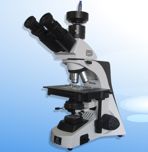 �о����@΢�R XSP-11CA