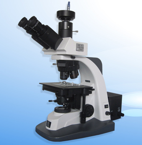 �о����@΢�R XSP-12CA