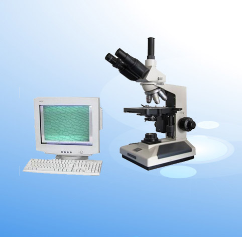 �D���@΢�R XSP-8CV