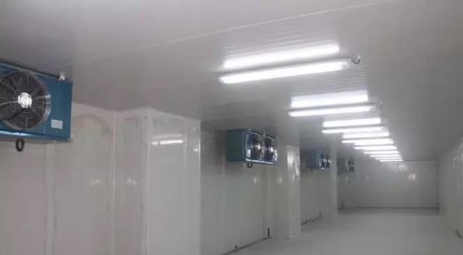 冷鏈物流的物聯(lián)網(wǎng)化(圖3)