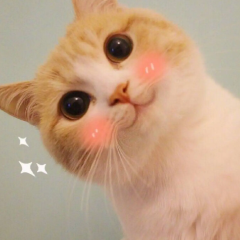 【純干貨】自動售貨機在戶外投放應(yīng)當(dāng)注意什么?(圖6) 1-221125161949345.png